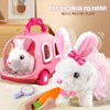 files/Saf88d8020a844764956a354f083d5993Y.webp