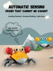 files/Saf98ad9a78174bcc876d9809b1a7a779Z.webp