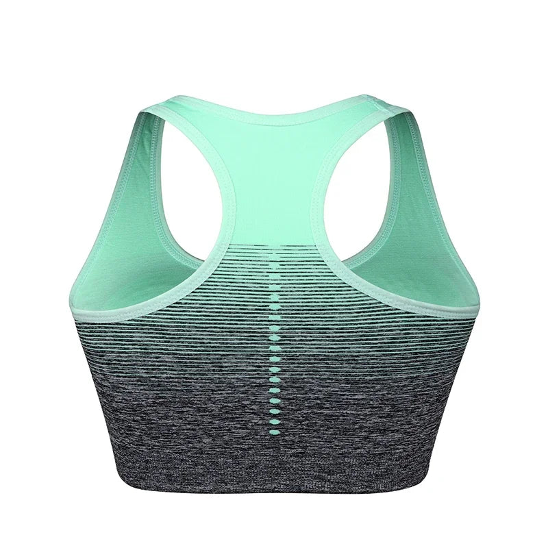 ElevateFit Seamless Sports Bra ATHLEXES