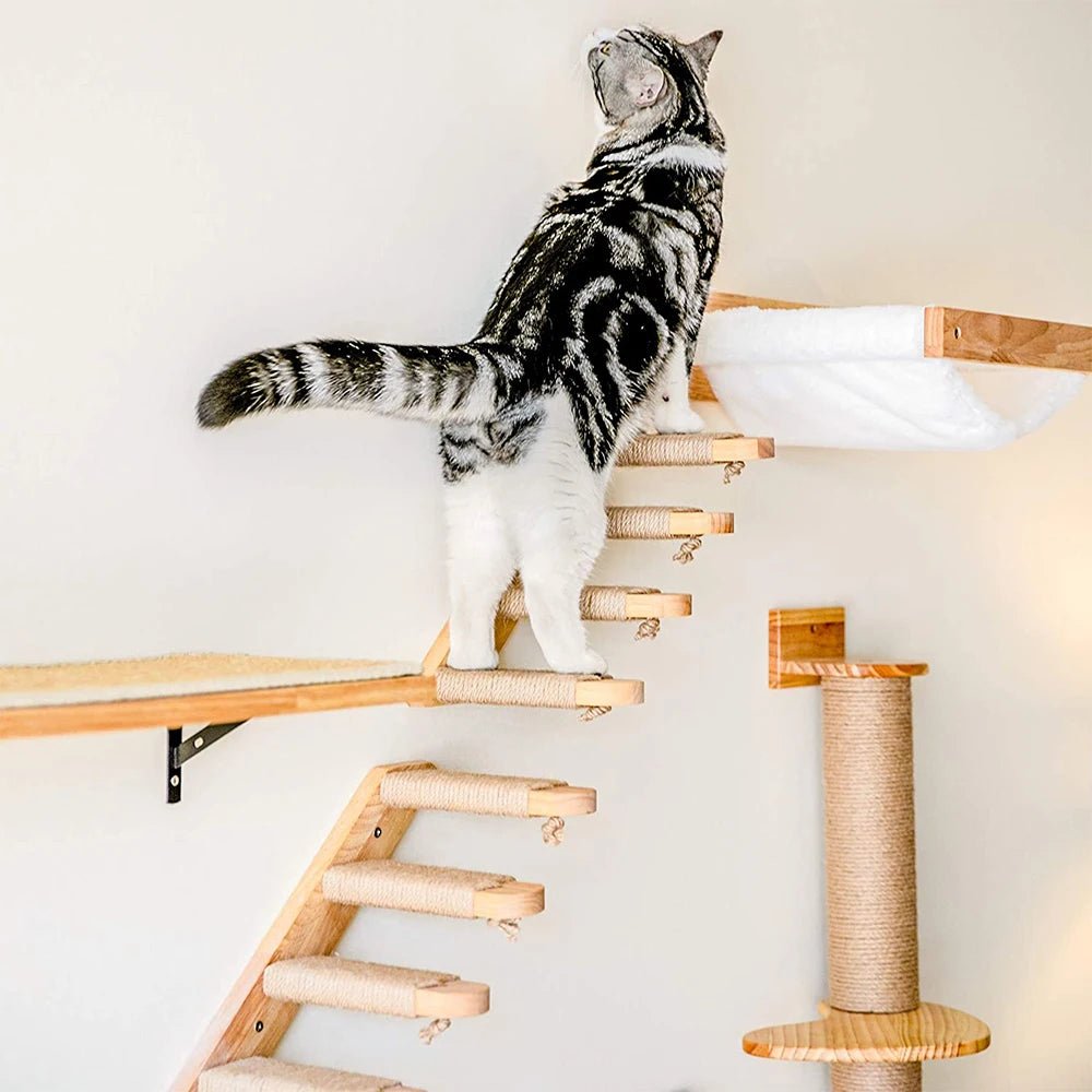 Wall-Mounted Cat Climbing Shelf ATHLEXES