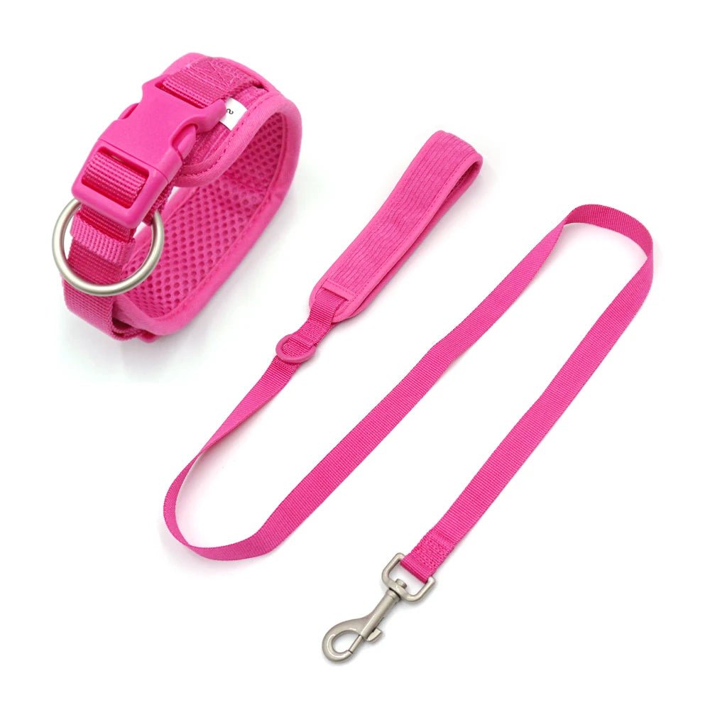 Personalized Reflective Dog Collar & Leash Set ATHLEXES