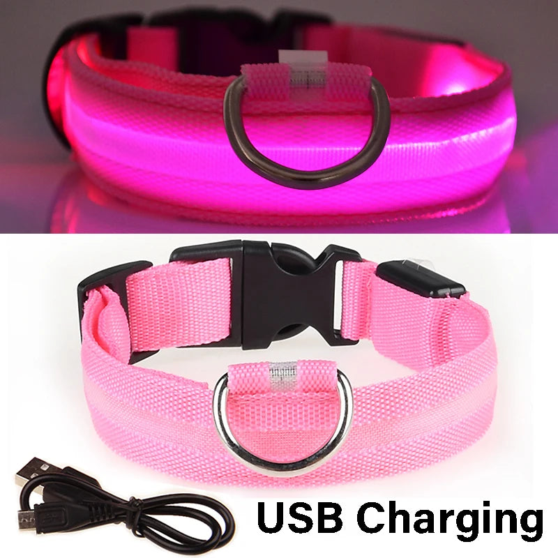 LED Glowing Dog Collar ATHLEXES