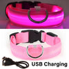 LED Glowing Dog Collar ATHLEXES