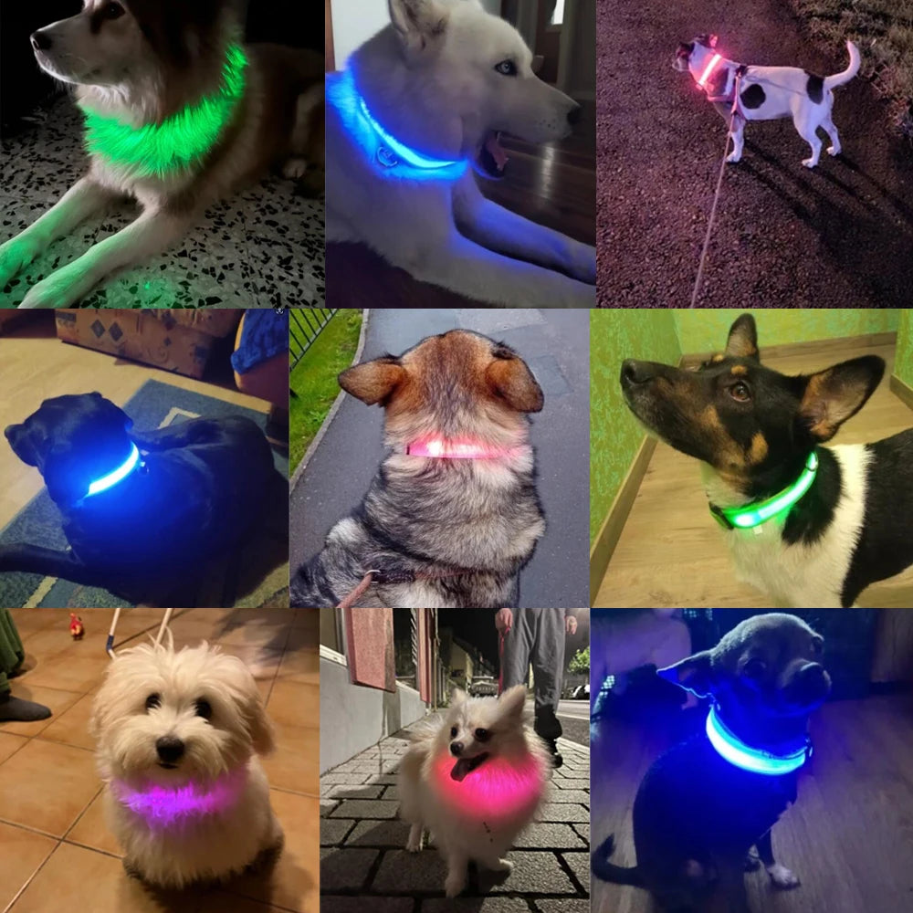 LED Glowing Dog Collar ATHLEXES