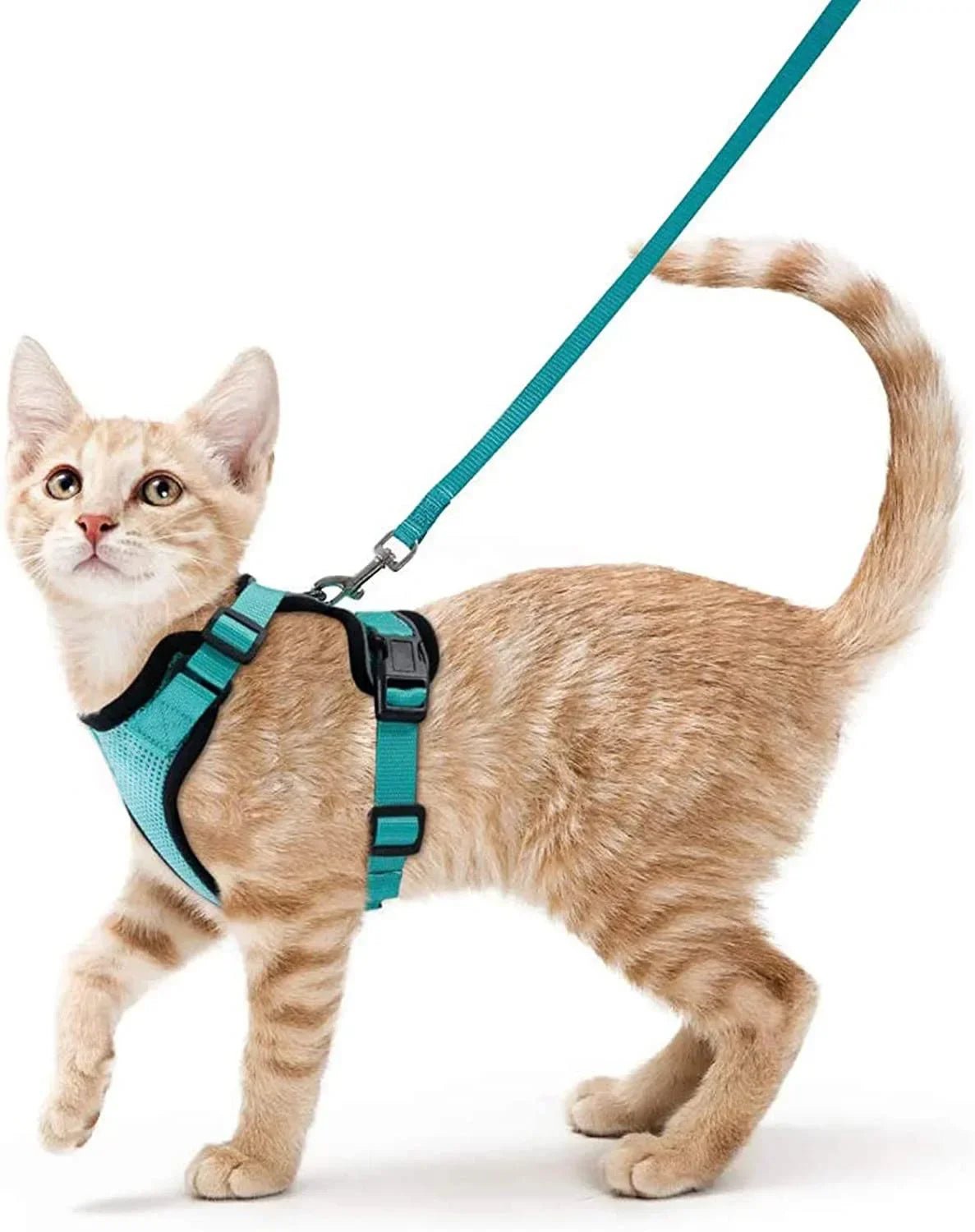 Cat Harness Lead Leash Set Walking Training Escape Proof Adjustable Reflective Pet Vest Harness Kitten Collar Pet Supplies ATHLEXES