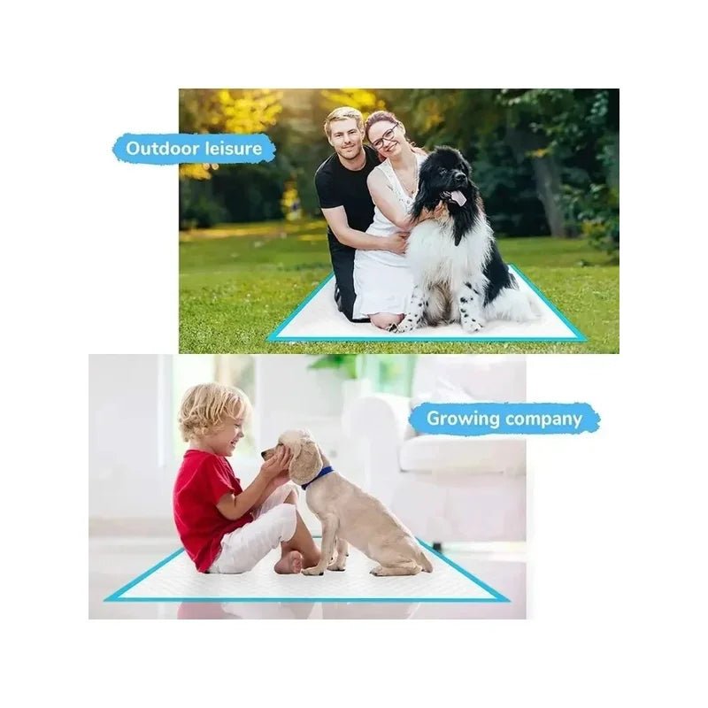 High-Absorbent Disposable Dog Urine Pads ATHLEXES