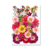 Pressed Floral Epoxy Kit for DIY Jewelry Crafts ATHLEXES
