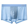 CoolSilk Plus Size Men's Boxer Shorts ATHLEXES