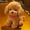 Realistic Teddy Dog Plush Toy for Kids ATHLEXES