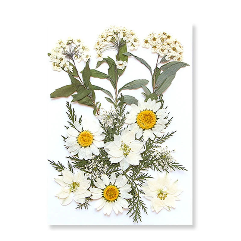 Pressed Floral Epoxy Kit for DIY Jewelry Crafts ATHLEXES