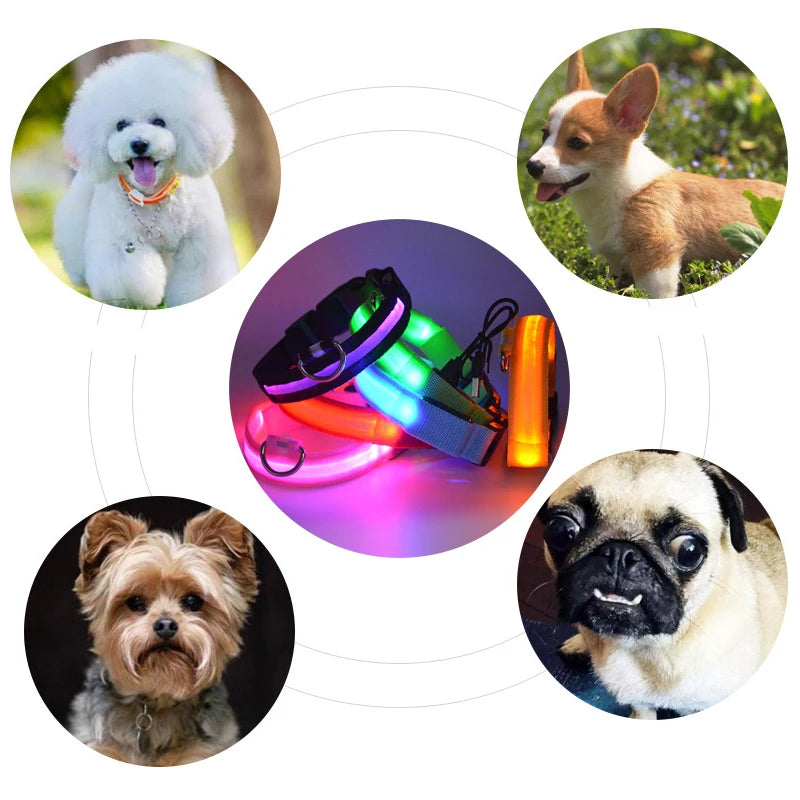 LED Glowing Dog Collar ATHLEXES