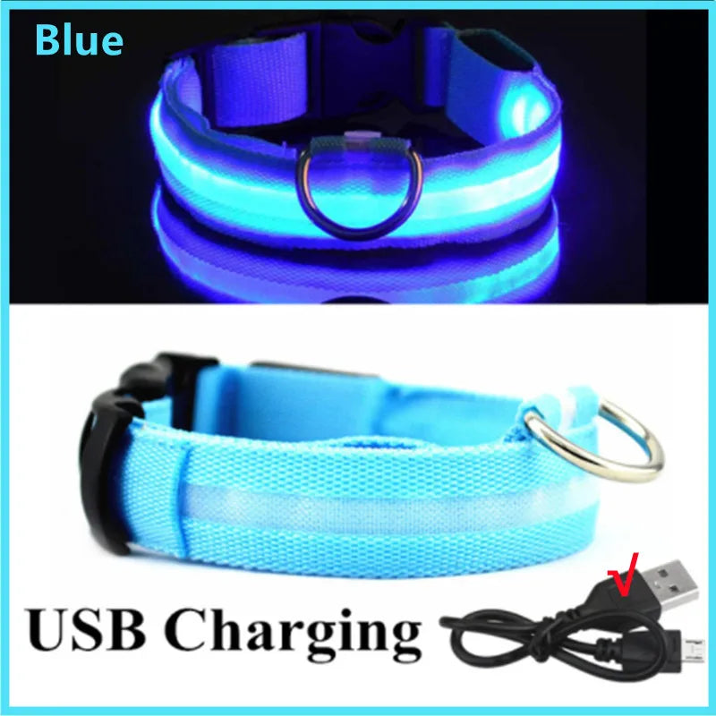 USB Charging LED Dog Collar ATHLEXES