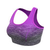 ElevateFit Seamless Sports Bra ATHLEXES