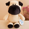 Majestic Lion Plush Stuffed Animal Safari Plushie ATHLEXES