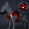 Reflective Cat Harness Set with Adjustable Leash for Small Pets ATHLEXES