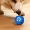 Smart Dog Interactive Play Ball Toy ATHLEXES