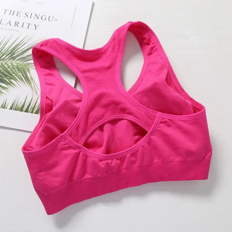 ElevateFit Seamless Sports Bra for Active Women ATHLEXES