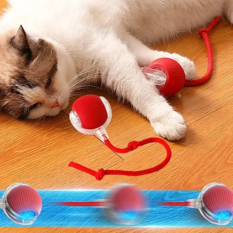 Interactive Cat Toys Ball Auto Electric Rolling Ball Toys for Cats/Kitty Pets Smart Automatic Teaser USB Rechargeable ATHLEXES