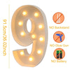 Giant LED Birthday Number Frame for Celebrations ATHLEXES