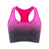 ElevateFit Seamless Sports Bra ATHLEXES