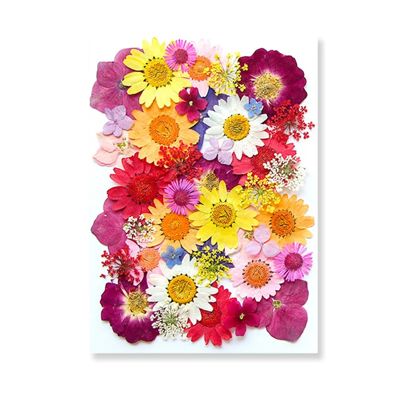 Pressed Floral Epoxy Kit for DIY Jewelry Crafts ATHLEXES