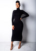 Elegant Slim Fit High Collar Winter Dress ATHLEXES