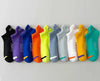 Vibrant Men's Ankle Socks for Active Lifestyles ATHLEXES