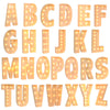 Giant LED Letter Light Box for Events & Decor ATHLEXES