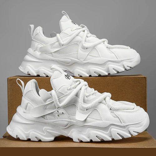  ATHLEXES
