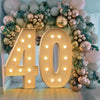Radiant 4FT DIY Light Up Numbers for Celebrations ATHLEXES