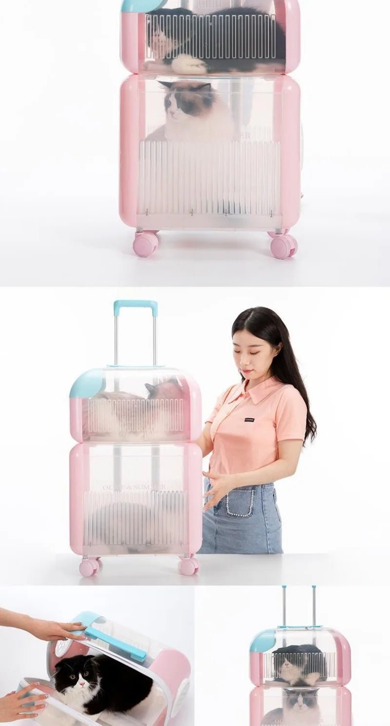 Plastic Portable Space Capsule Cat Bag Double Positions Transparency Large Capacity Trolley Case Cat Carriers Pet Products ATHLEXES