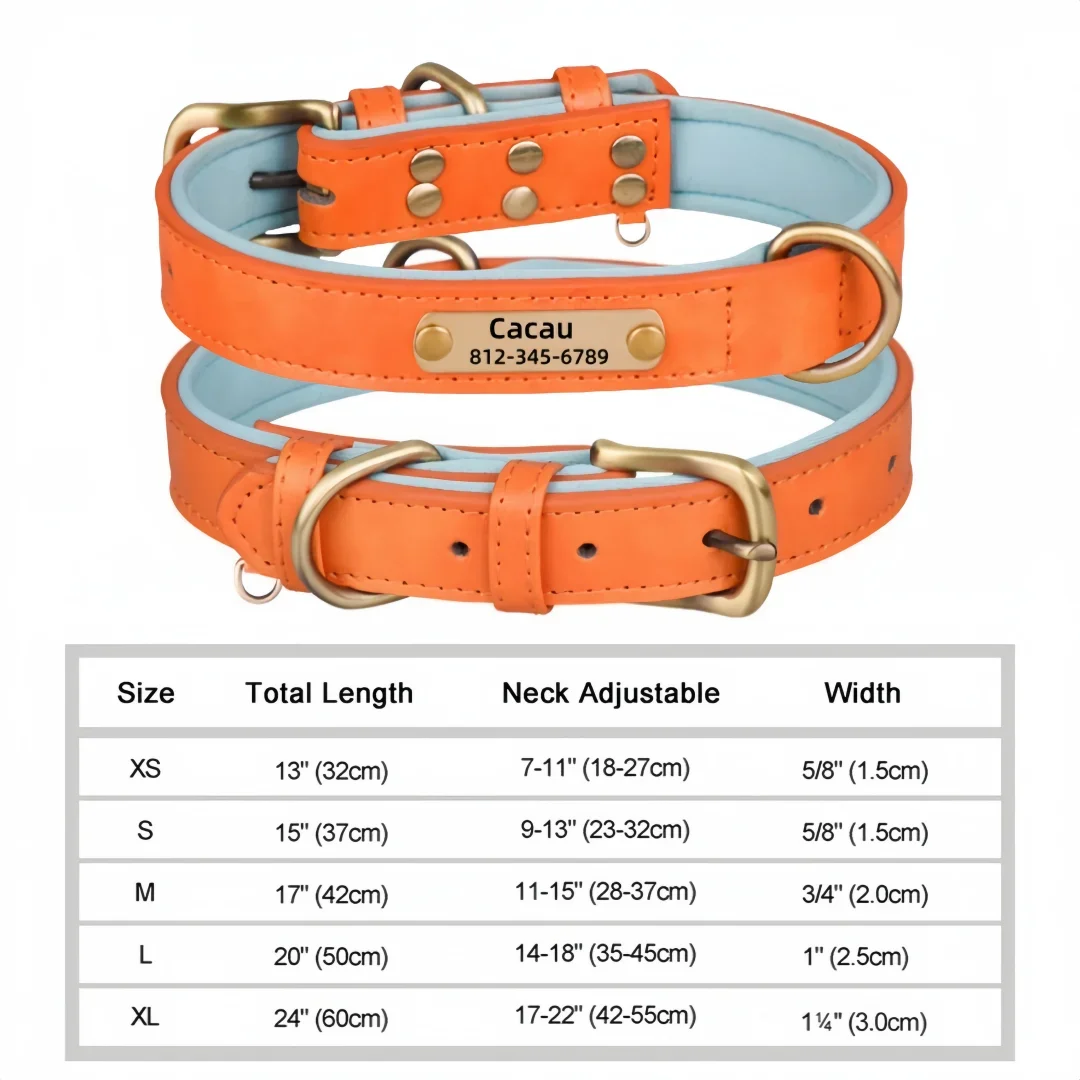 Customized Soft Padded Leather Dog Collar with ID Tag ATHLEXES