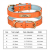 Customized Soft Padded Leather Dog Collar with ID Tag ATHLEXES