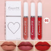 Sexy Velvet Matte Lip Gloss ATHLEXES