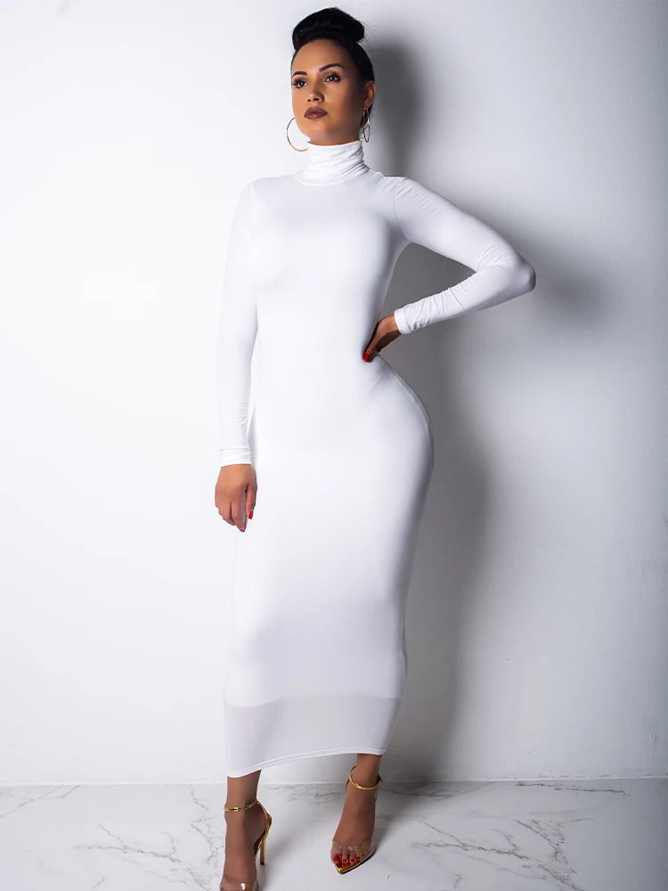 Elegant Slim Fit High Collar Winter Dress ATHLEXES