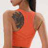 Premium Fit Quick Dry Yoga Bra and Top ATHLEXES