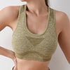 ActiveFit Seamless Sports Bra Top ATHLEXES