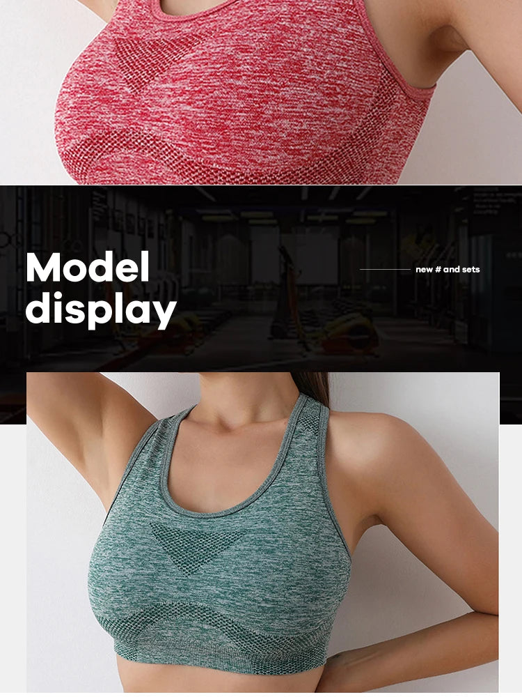 BreatheFit Push Up Sports Bra for Women ATHLEXES