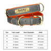 Customized Soft Padded Leather Dog Collar with ID Tag ATHLEXES