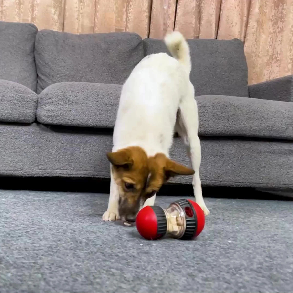 SmartFeed Interactive Dog Puzzle Ball ATHLEXES