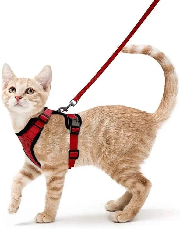 Cat Harness Lead Leash Set Walking Training Escape Proof Adjustable Reflective Pet Vest Harness Kitten Collar Pet Supplies ATHLEXES