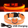 LED Glowing Dog Collar ATHLEXES