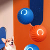 Smart Dog Interactive Play Ball Toy ATHLEXES