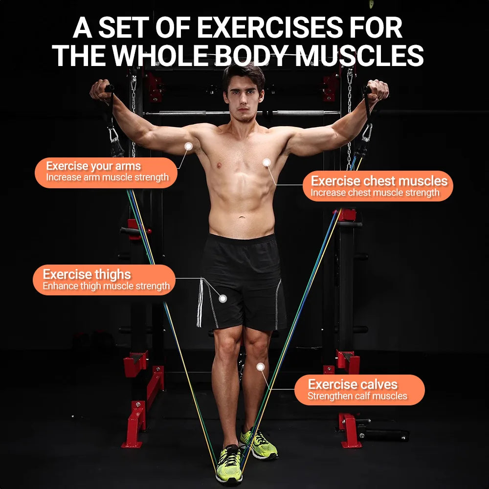 EliteFlex Resistance Bands Training Set ATHLEXES