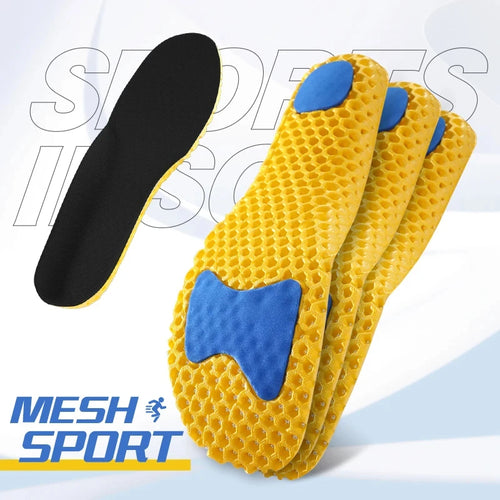  ATHLEXES