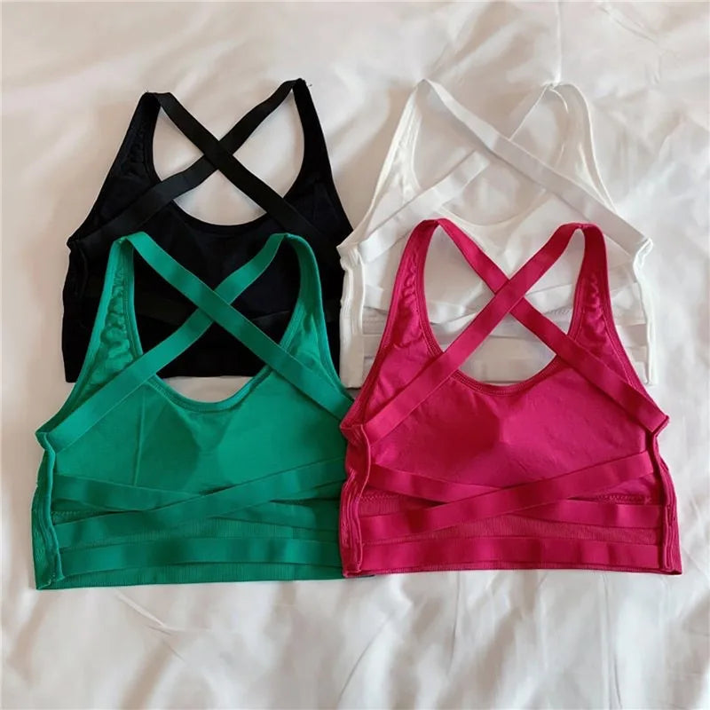 Elite Seamless High Impact Sports Bra ATHLEXES
