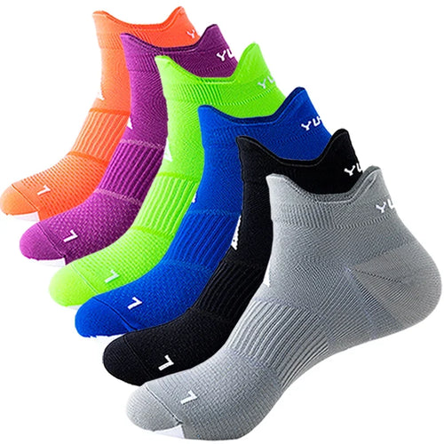  ATHLEXES