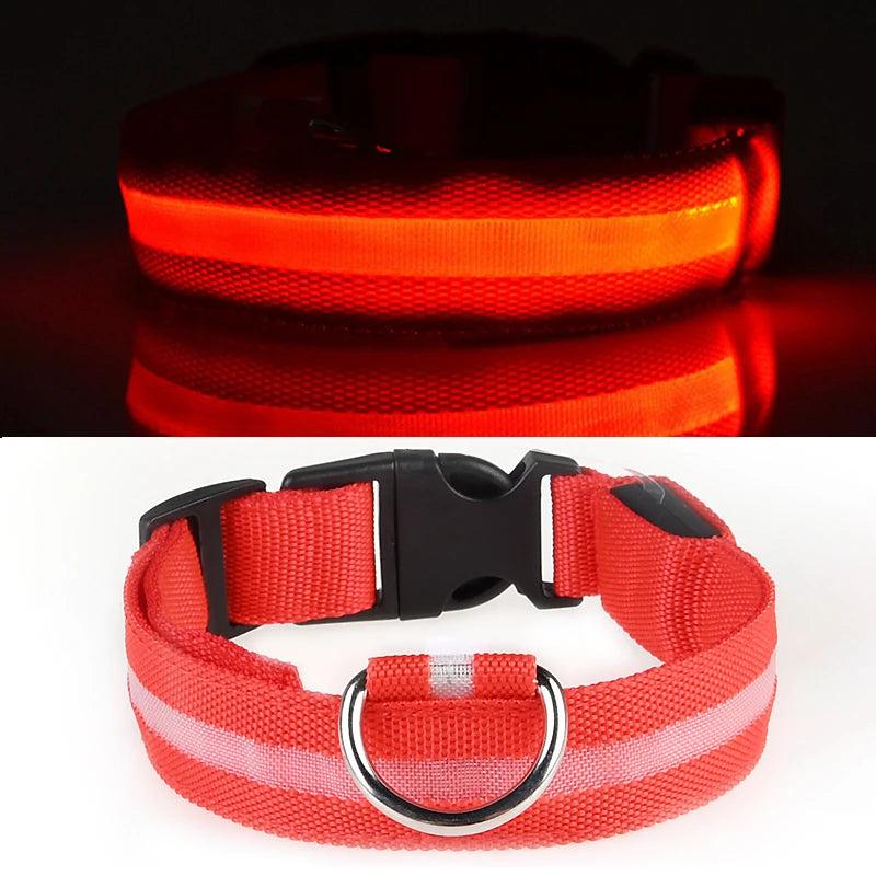 LED Glowing Dog Collar ATHLEXES