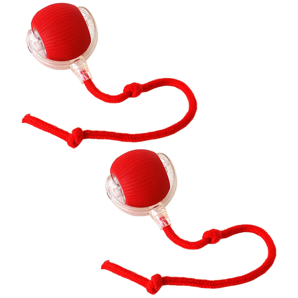 Playful Paws Interactive Ball Toys for Cats and Dogs ATHLEXES
