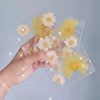Pressed Floral Epoxy Kit for DIY Jewelry Crafts ATHLEXES